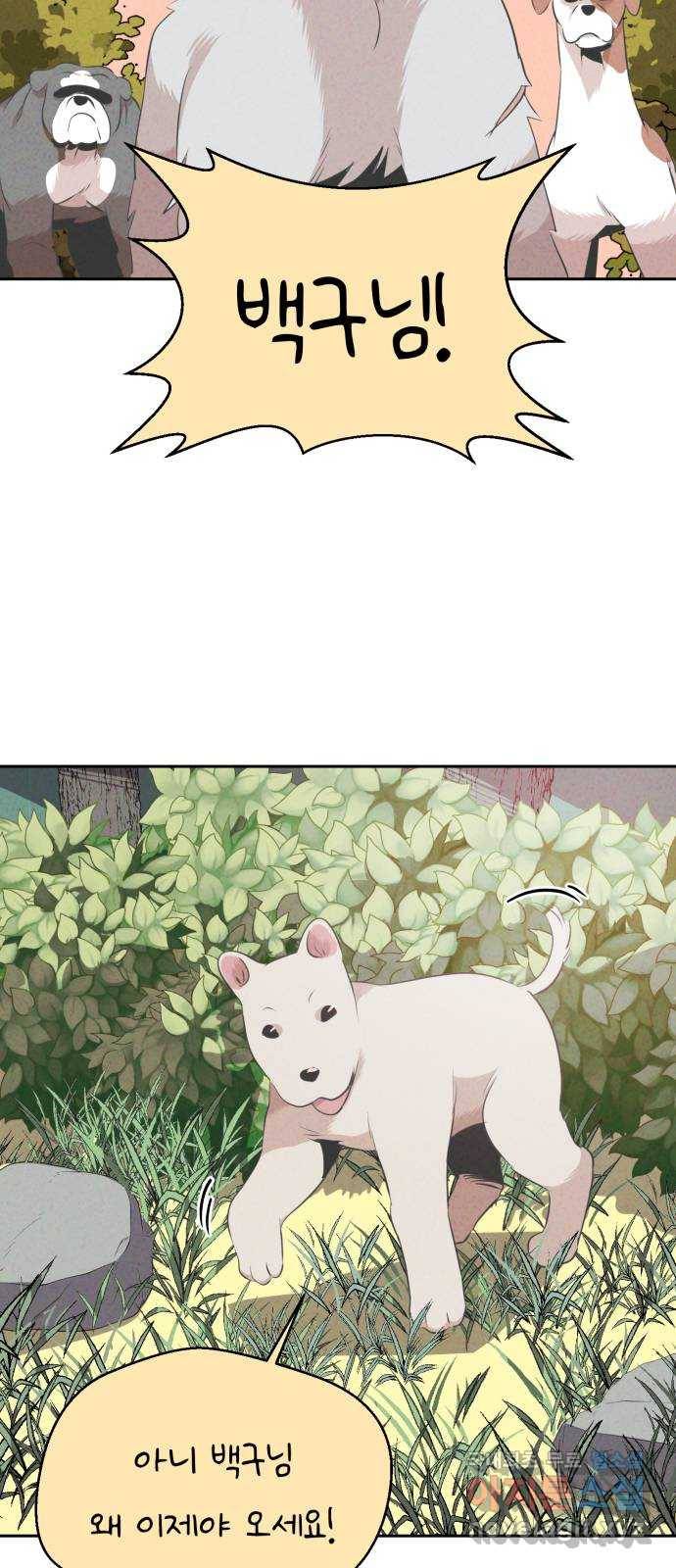 개와 사람의 시간 15화 7