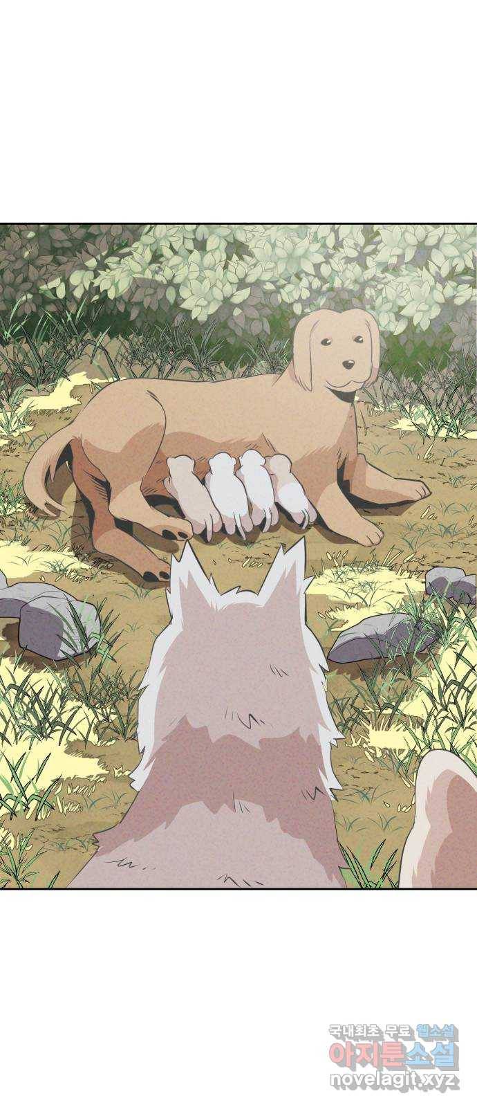 개와 사람의 시간 15화 13