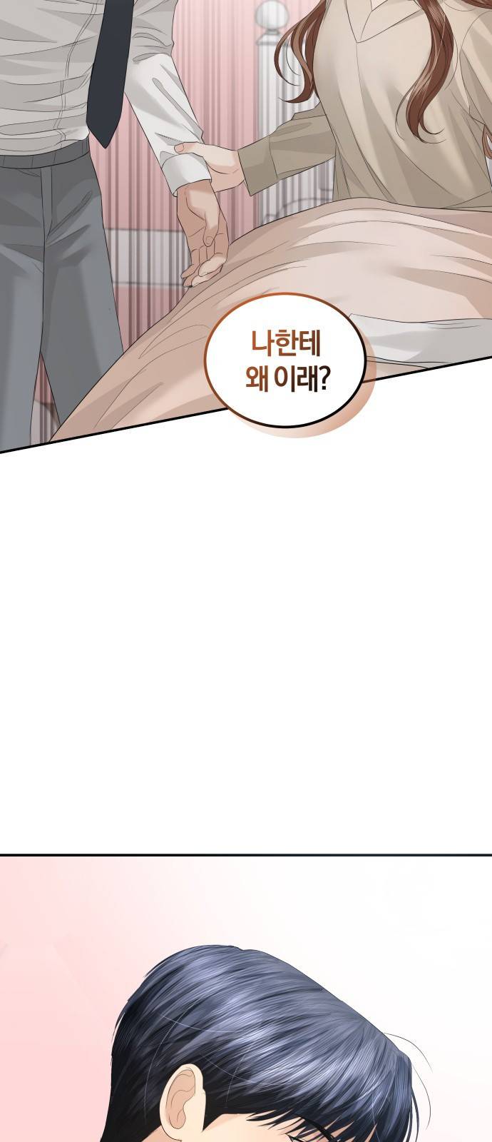 완벽한 결혼의 정석 62화 66