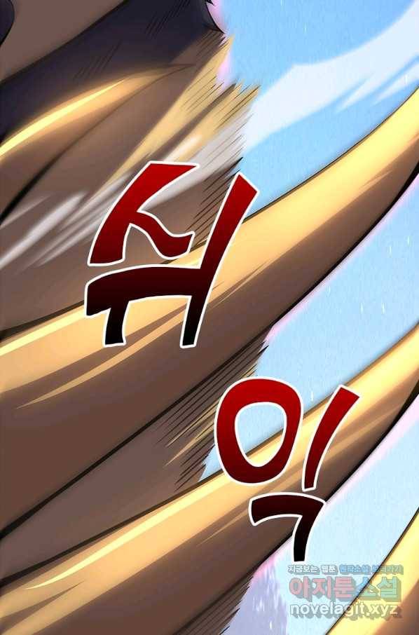시스템 마스터, 레벨 1부터 시작하다 25화 17