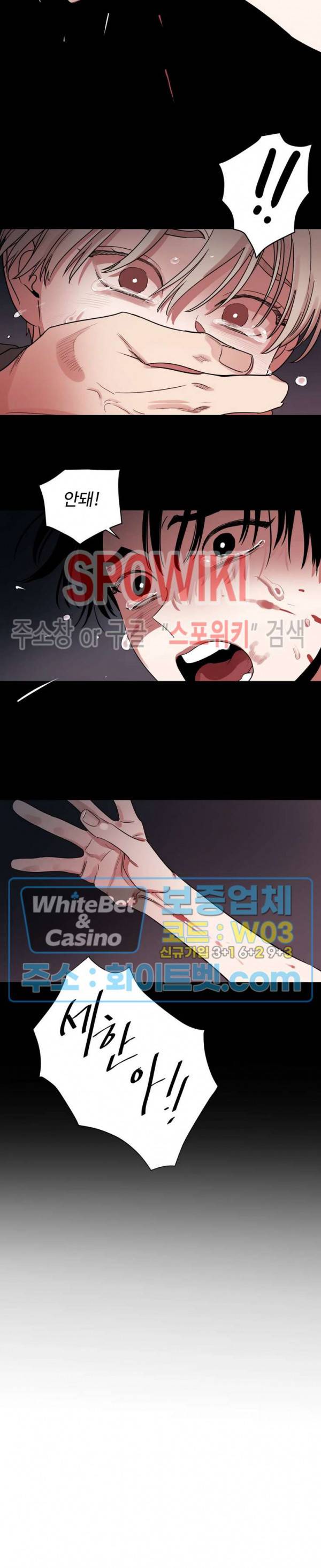 그림자의 영역 13화 3