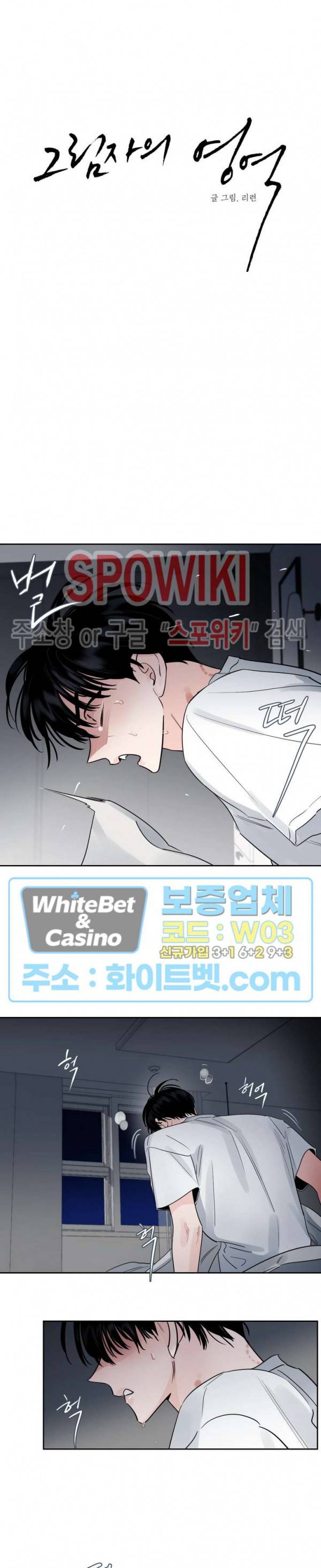 그림자의 영역 13화 4