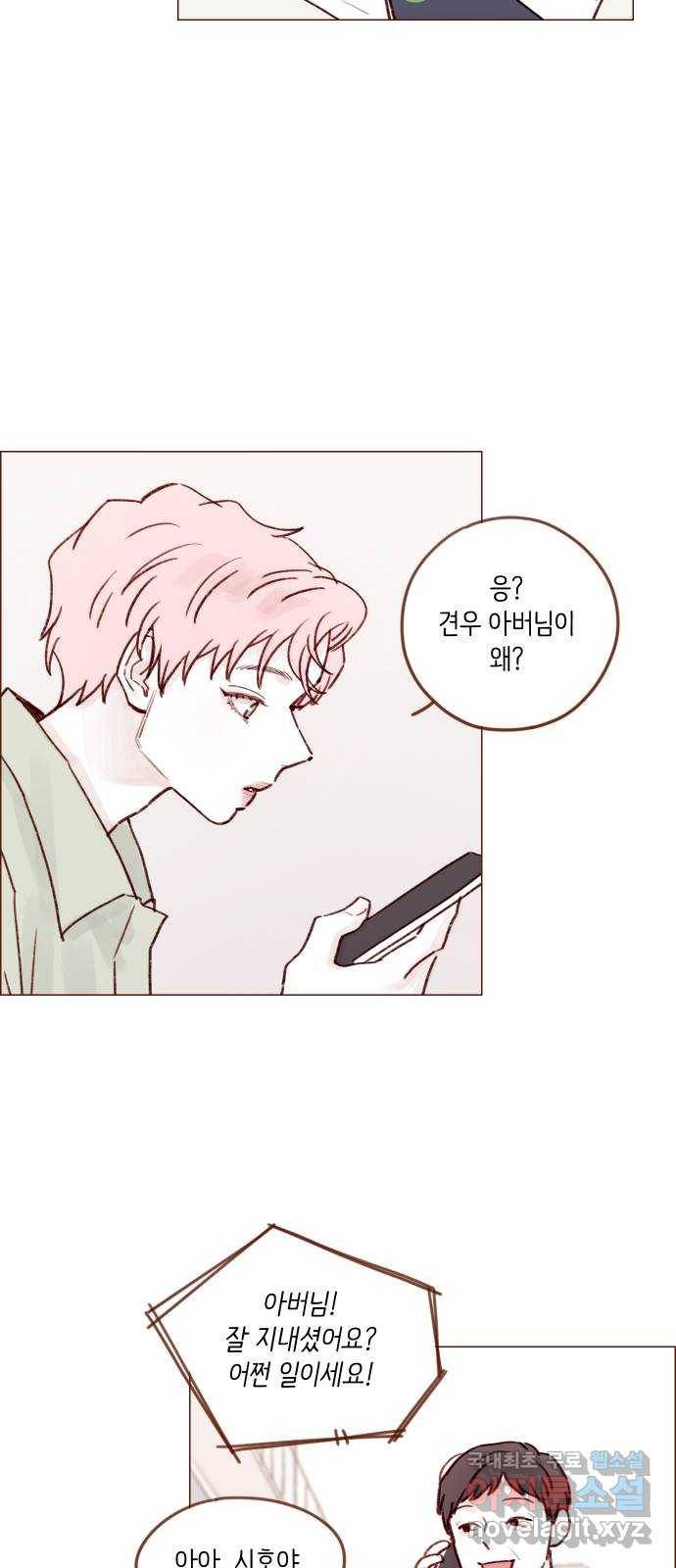 홍시는 날 좋아해! 206화 : 참 마음에 들더라 15