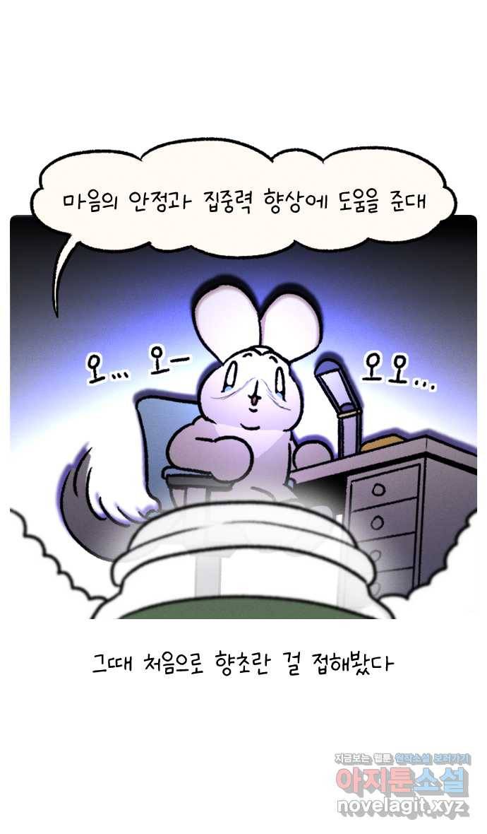 안녕, 나의 수집 03. 향초 5