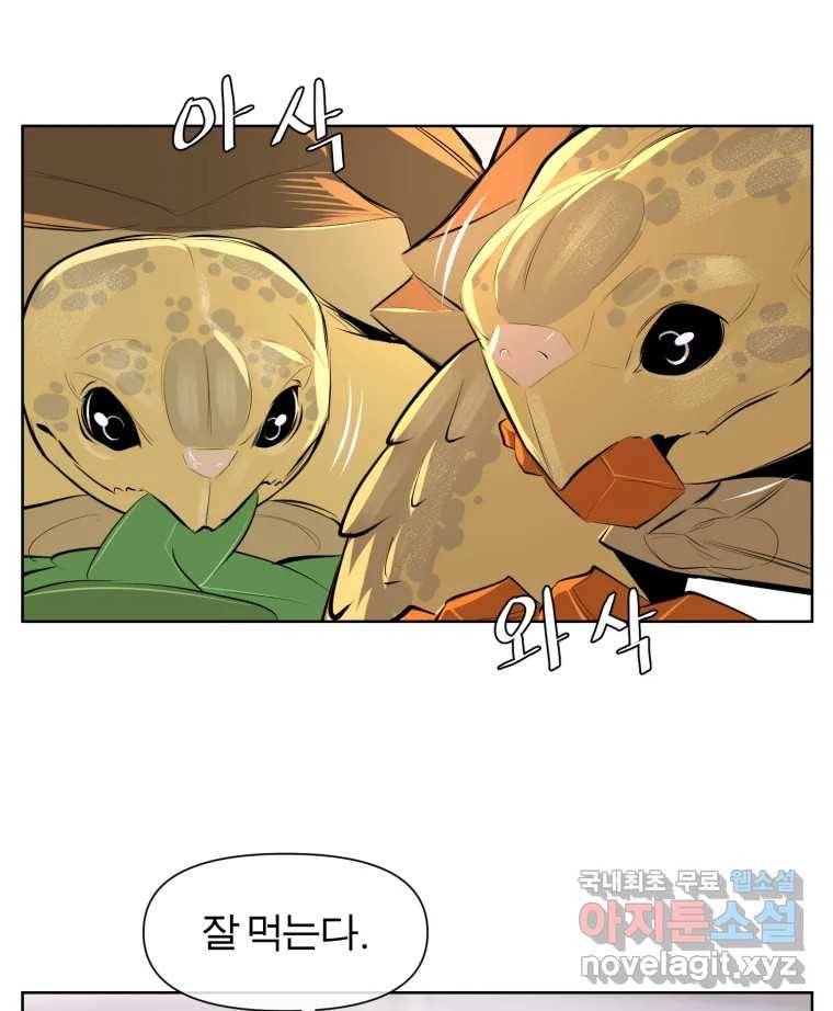 케어시트 50화 알 31