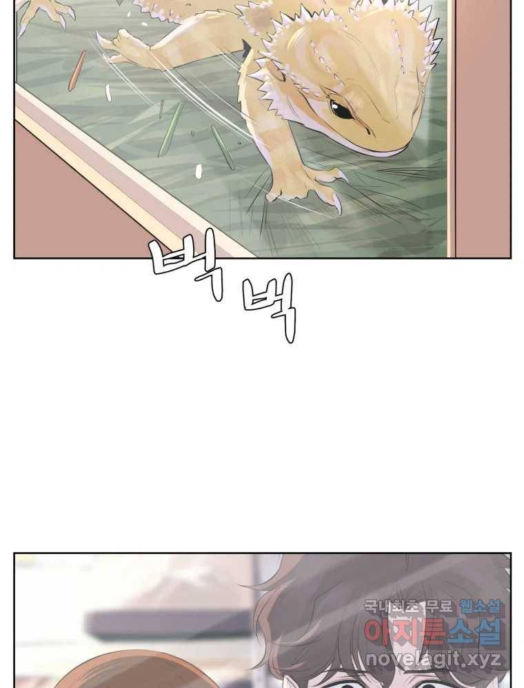 케어시트 50화 알 42