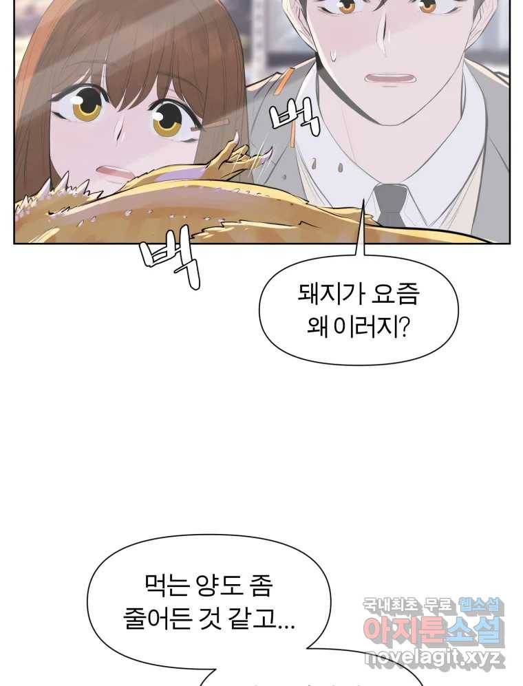 케어시트 50화 알 43