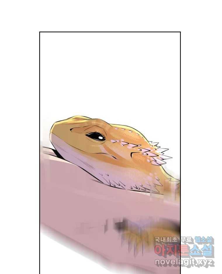 케어시트 50화 알 61
