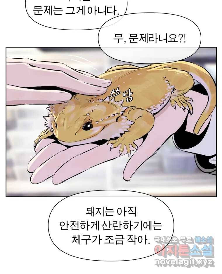 케어시트 50화 알 70