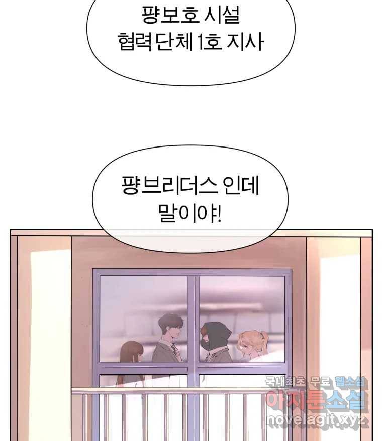 케어시트 50화 알 86
