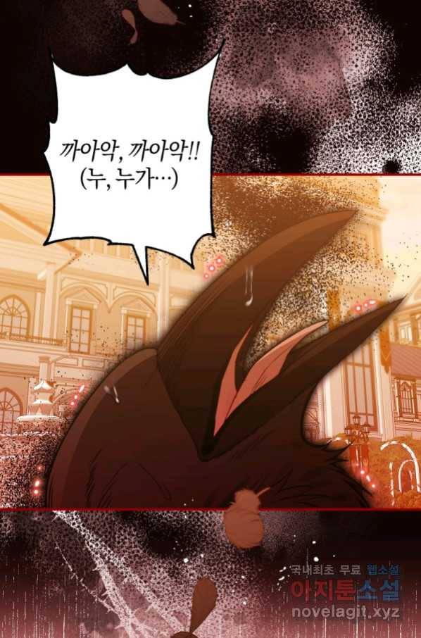 하필이면 까마귀가 되어버렸다 51화 3