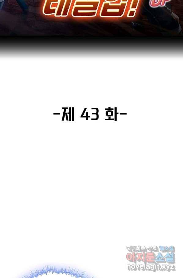 신급으로 레벨업! 43화 2