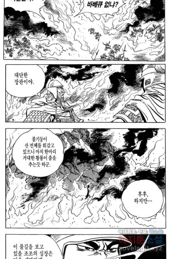 박봉성 삼국지 4부 5권 155