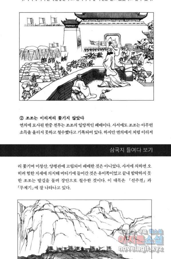 박봉성 삼국지 4부 5권 175