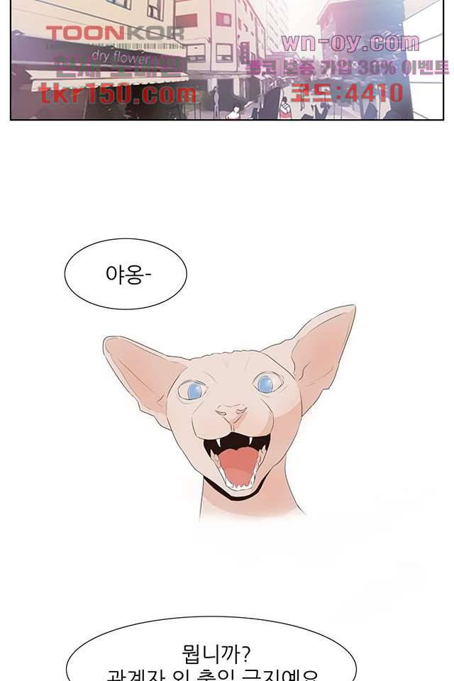 드라이 플라워 (Dry flower) 53화 9