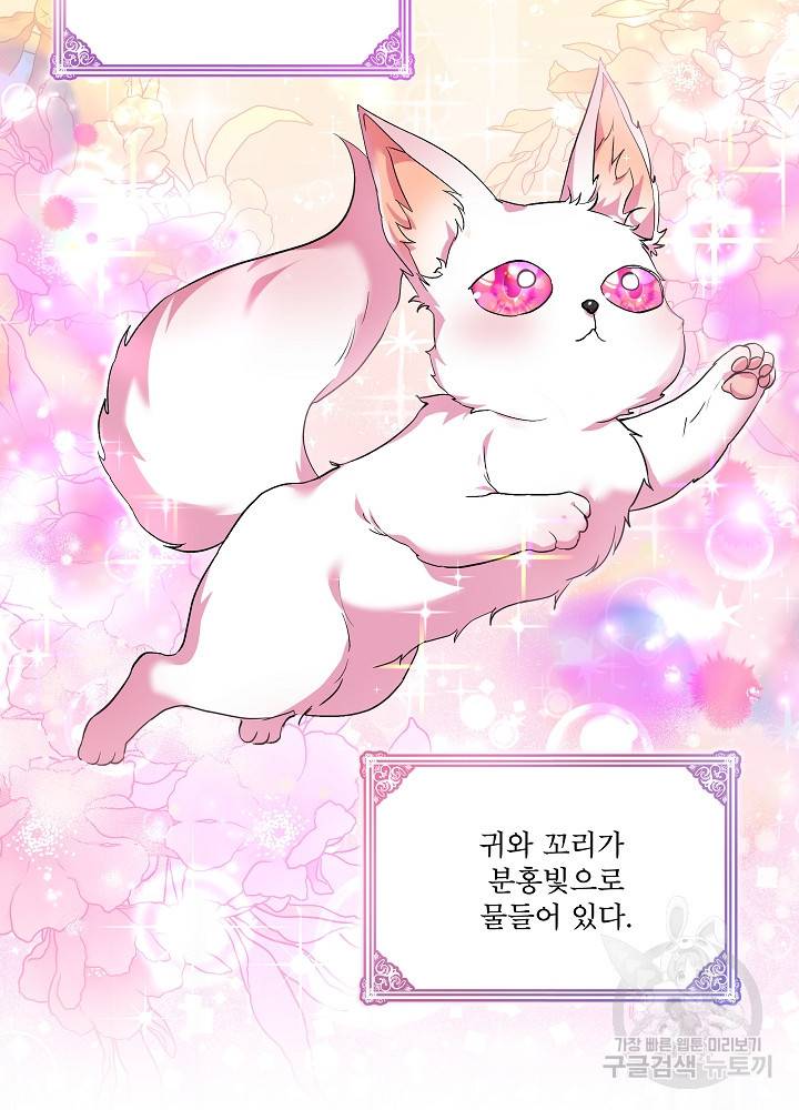 아기 신수로 환생했습니다 18화 20
