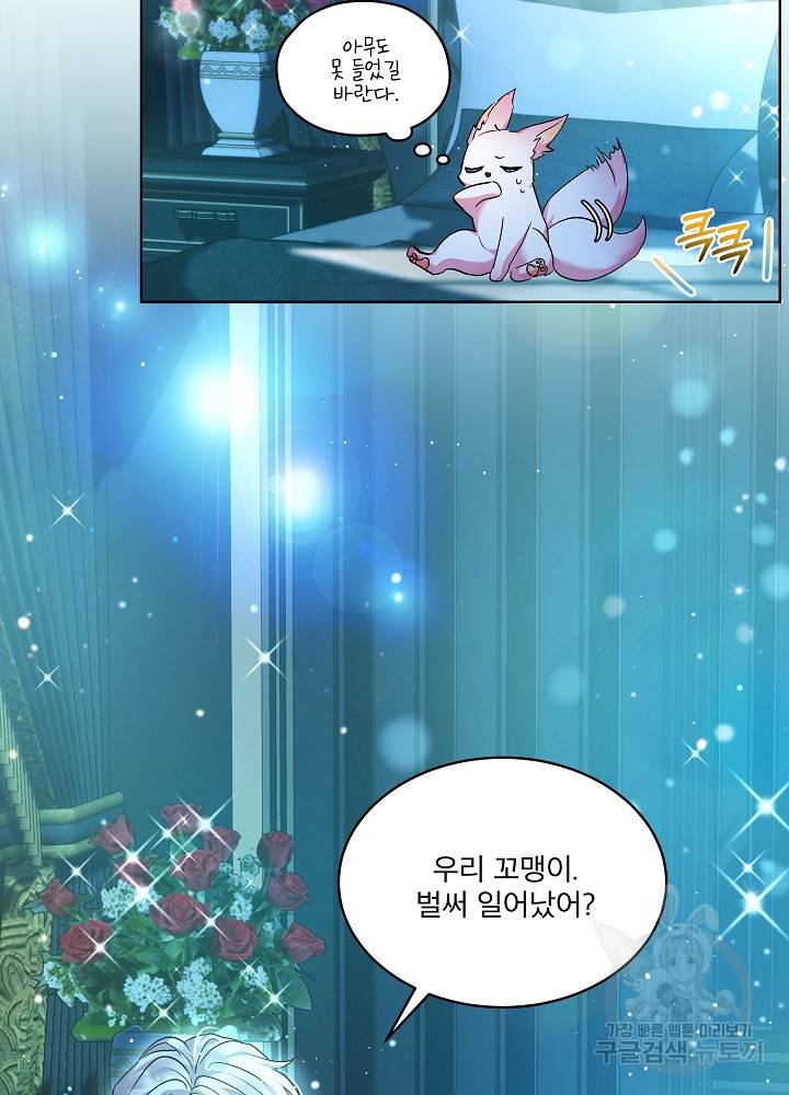 아기 신수로 환생했습니다 18화 30