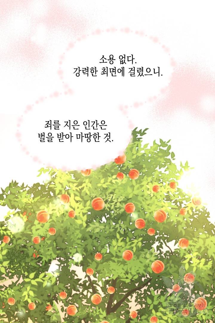 이번 생은 내 뜻대로 살겠다 35화 15