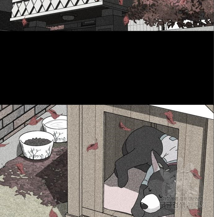 개를 낳았다 시즌2 120화 2
