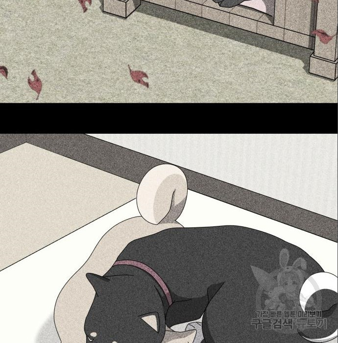 개를 낳았다 시즌2 120화 3