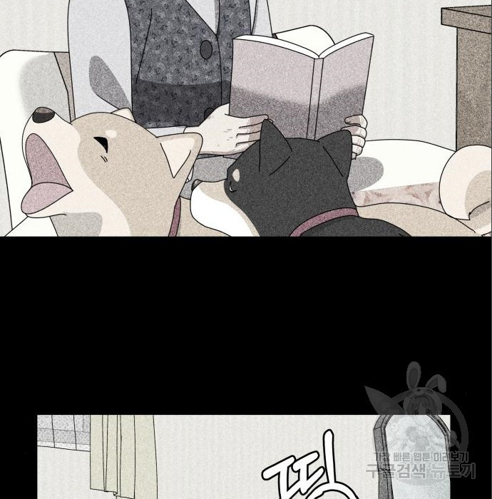 개를 낳았다 시즌2 120화 5