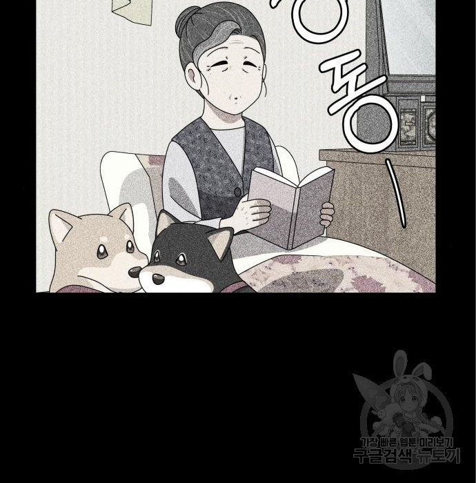 개를 낳았다 시즌2 120화 6