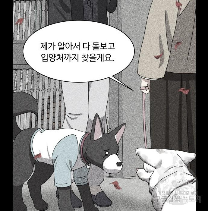 개를 낳았다 시즌2 120화 27