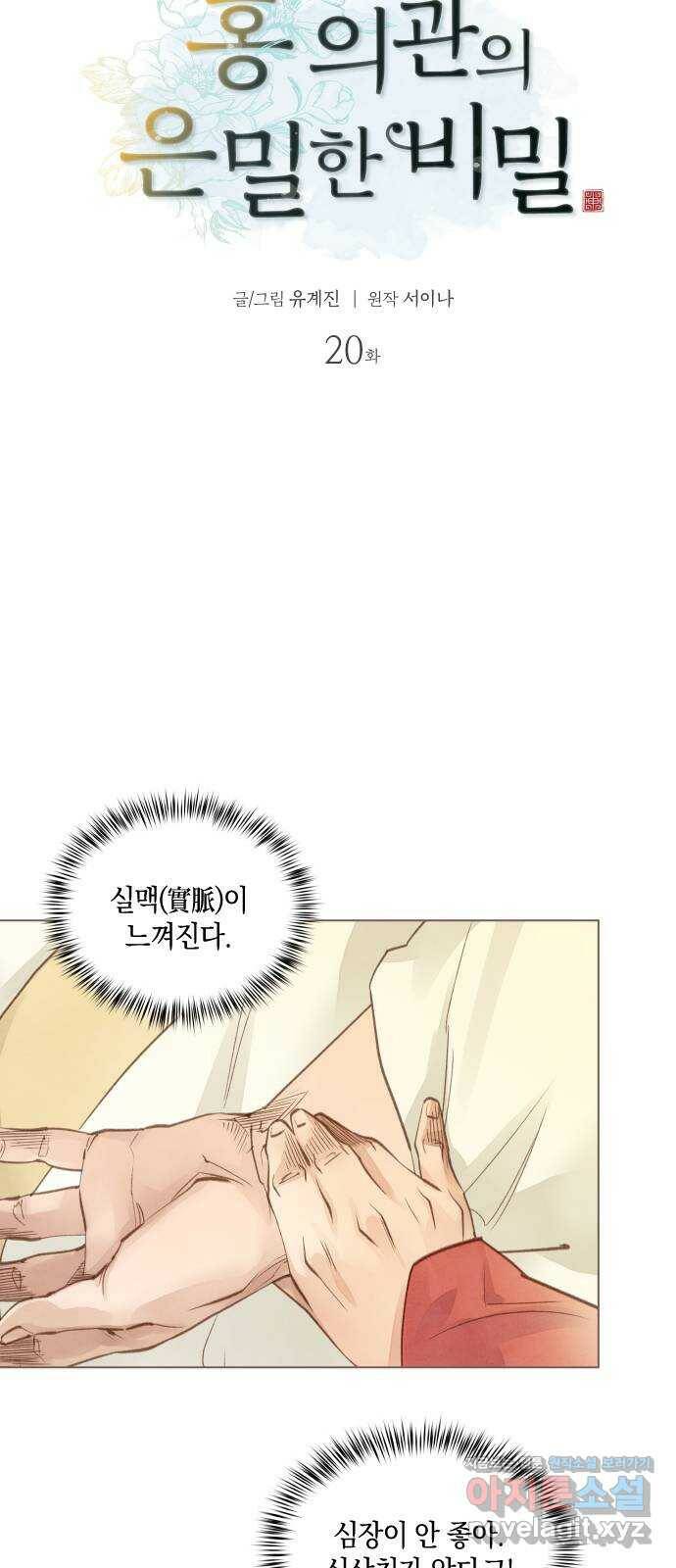 홍 의관의 은밀한 비밀 20화 8