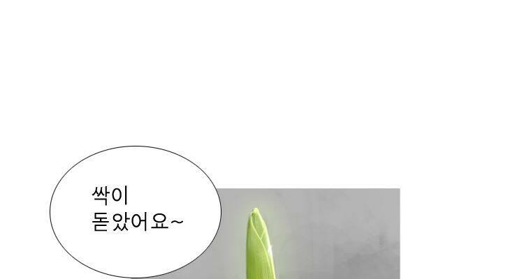 연무 50화 마침 203