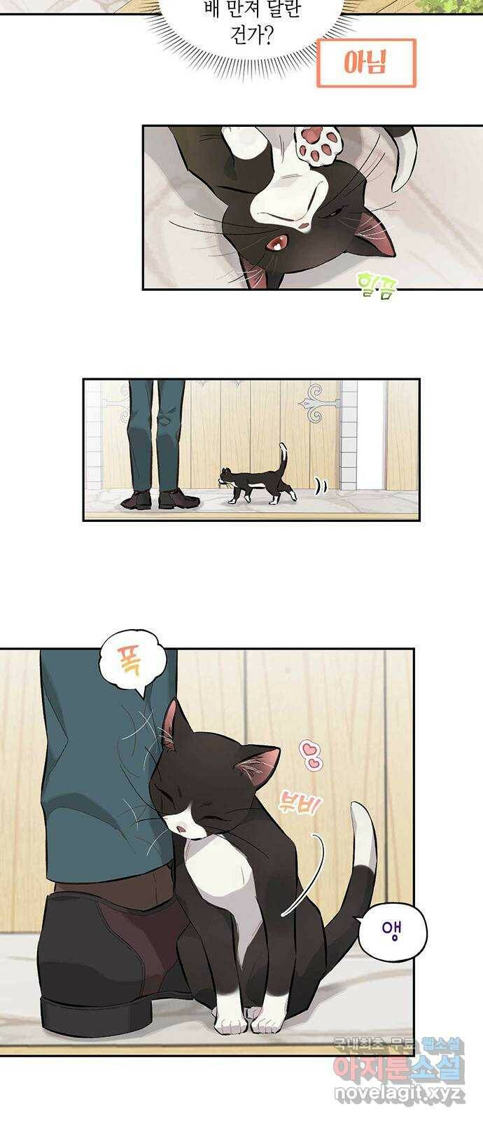 마침내 사랑이에요 마왕님! 16화 : 마침내 애옹 6