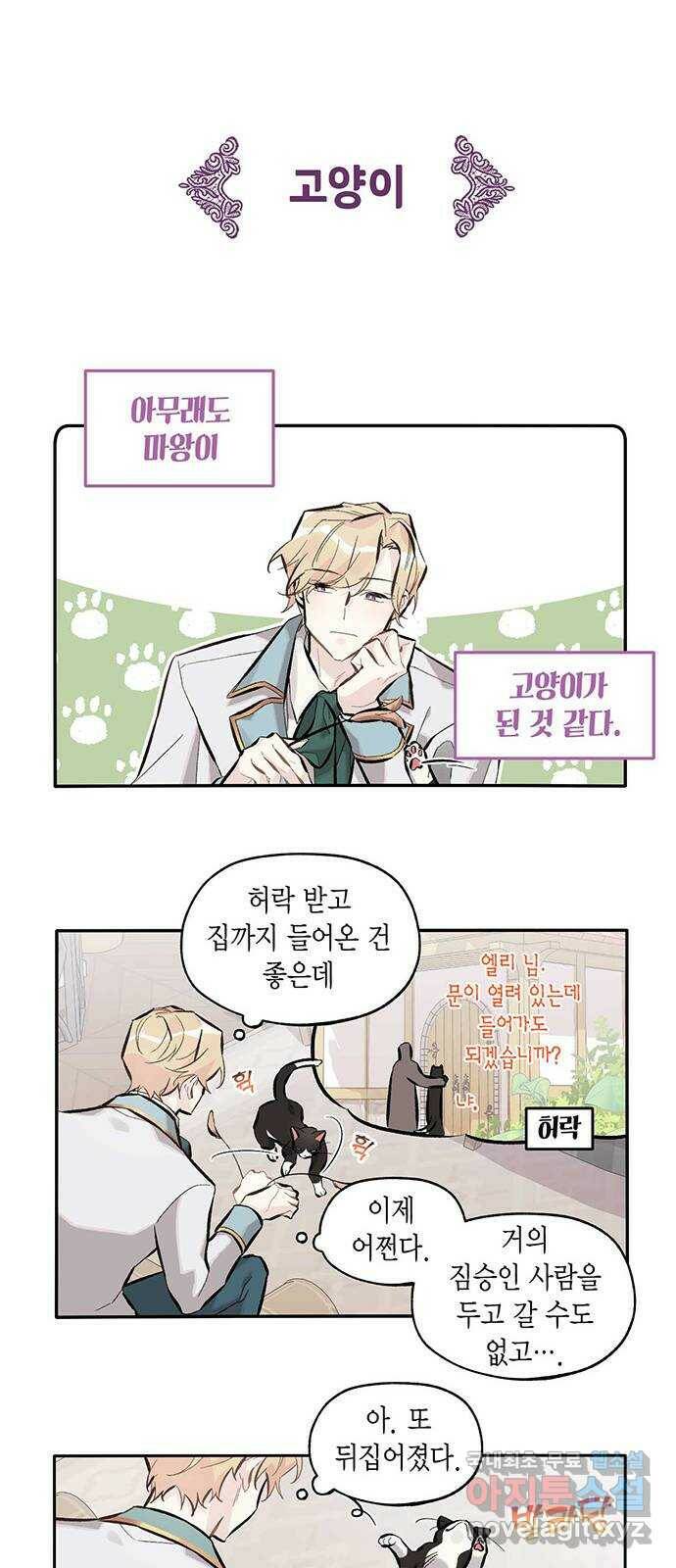 마침내 사랑이에요 마왕님! 16화 : 마침내 애옹 10