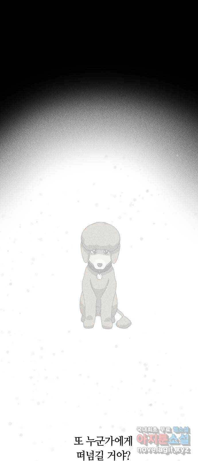 개를 낳았다 시즌2 122화 6