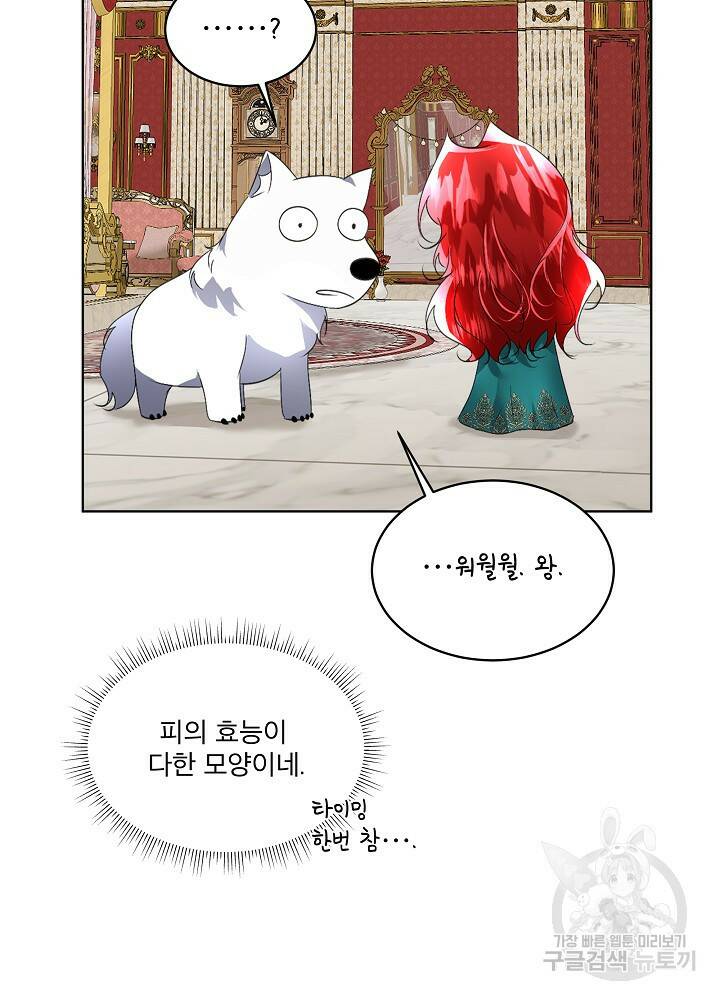 남주를 임시보호 중입니다 16화 17