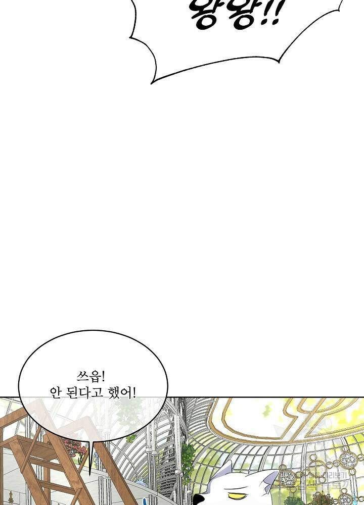 남주를 임시보호 중입니다 16화 49