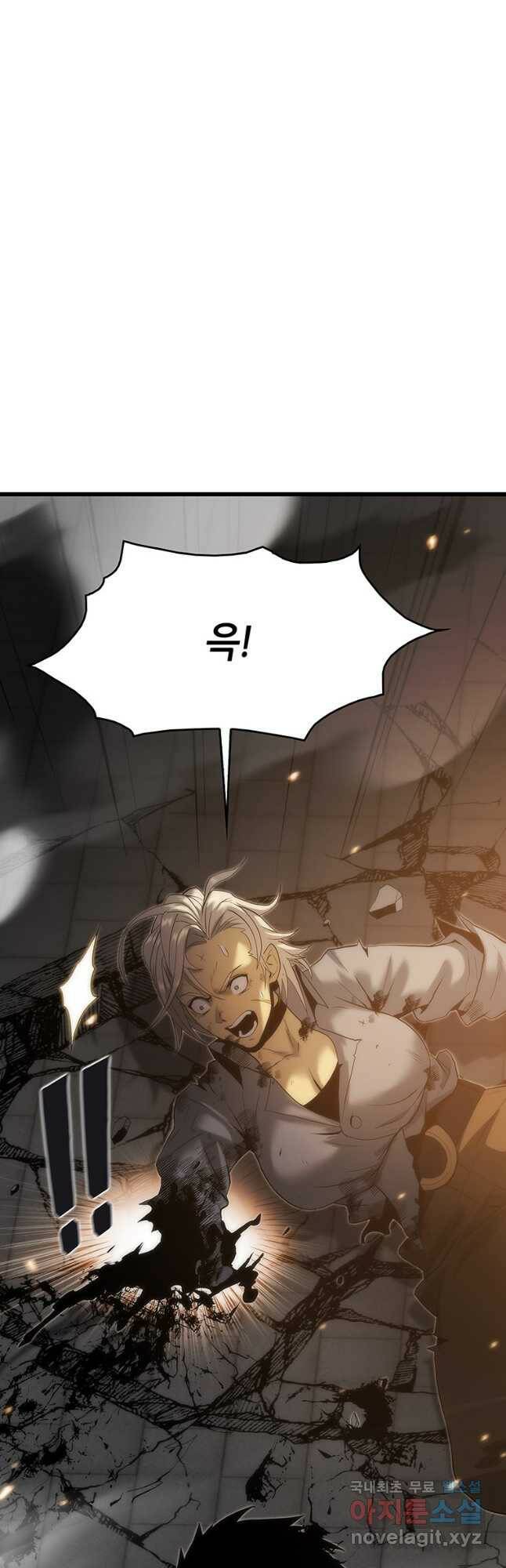 범이 내려왔다 44화 35