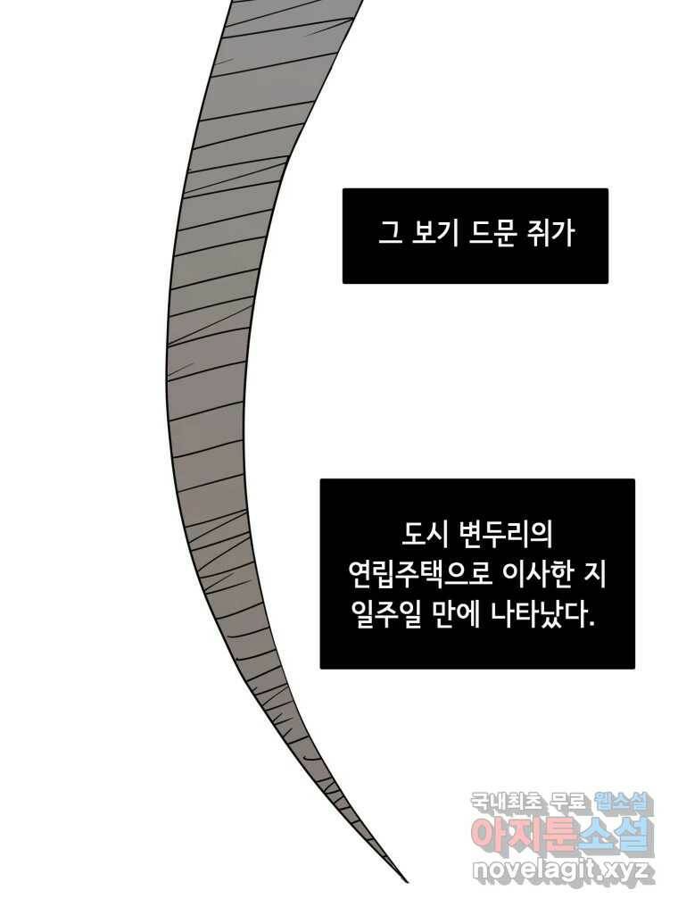 틀린 가족 쥐를 잡자 1 31