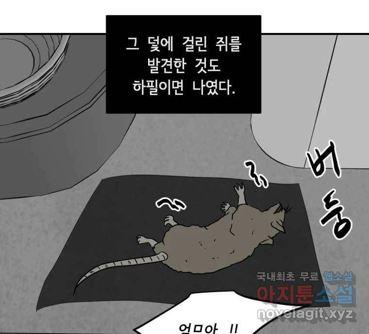 틀린 가족 쥐를 잡자 1 78
