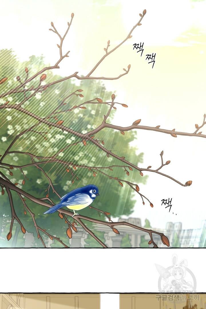 이만 놓아주세요, 공작님 34화 11