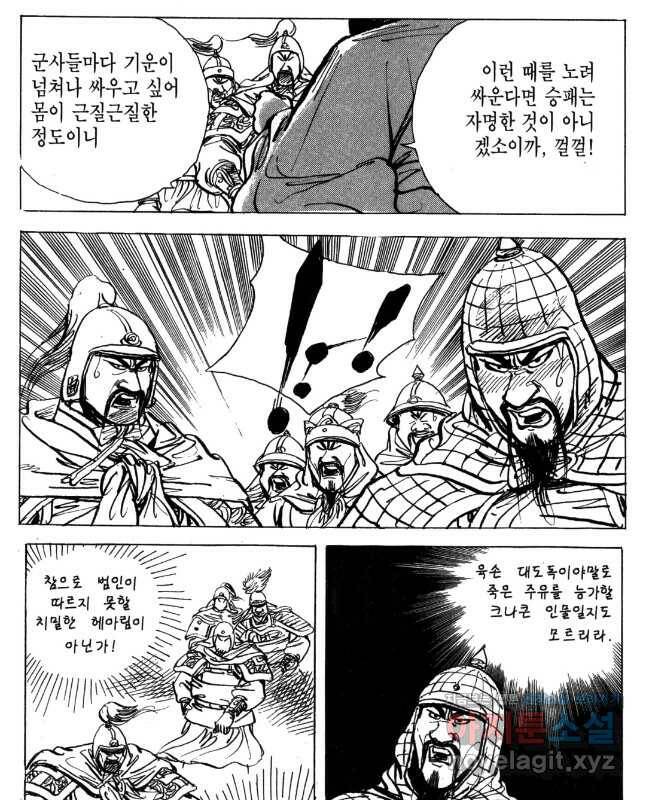 박봉성 삼국지 4부 13권 45