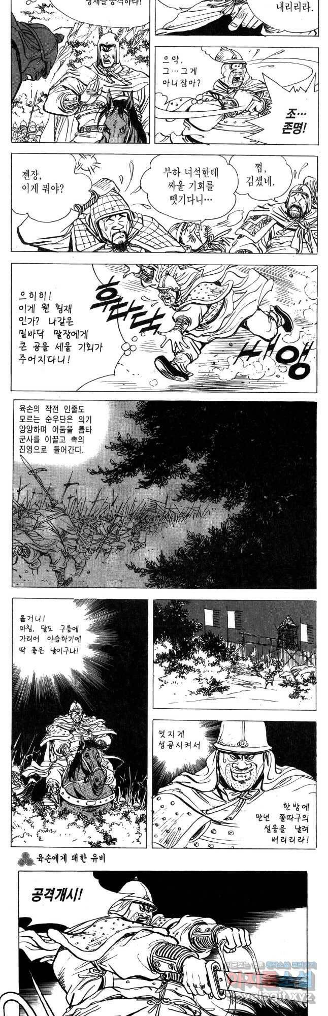 박봉성 삼국지 4부 13권 54