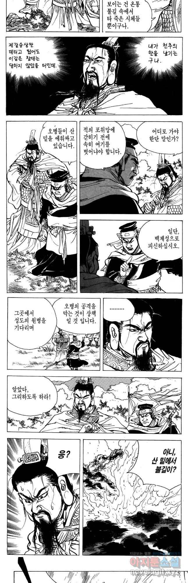 박봉성 삼국지 4부 13권 82