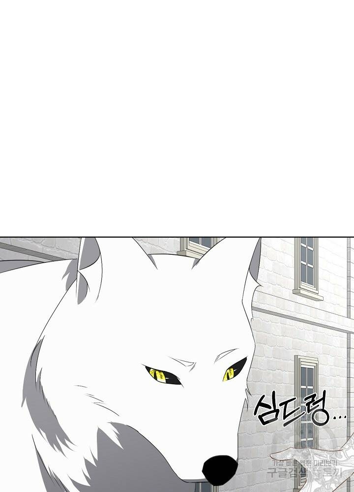 남주를 임시보호 중입니다 21화 53