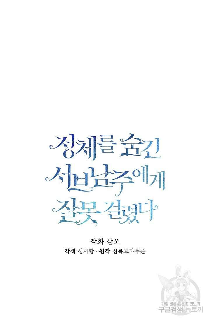 정체를 숨긴 서브남주에게 잘못 걸렸다 17화 13