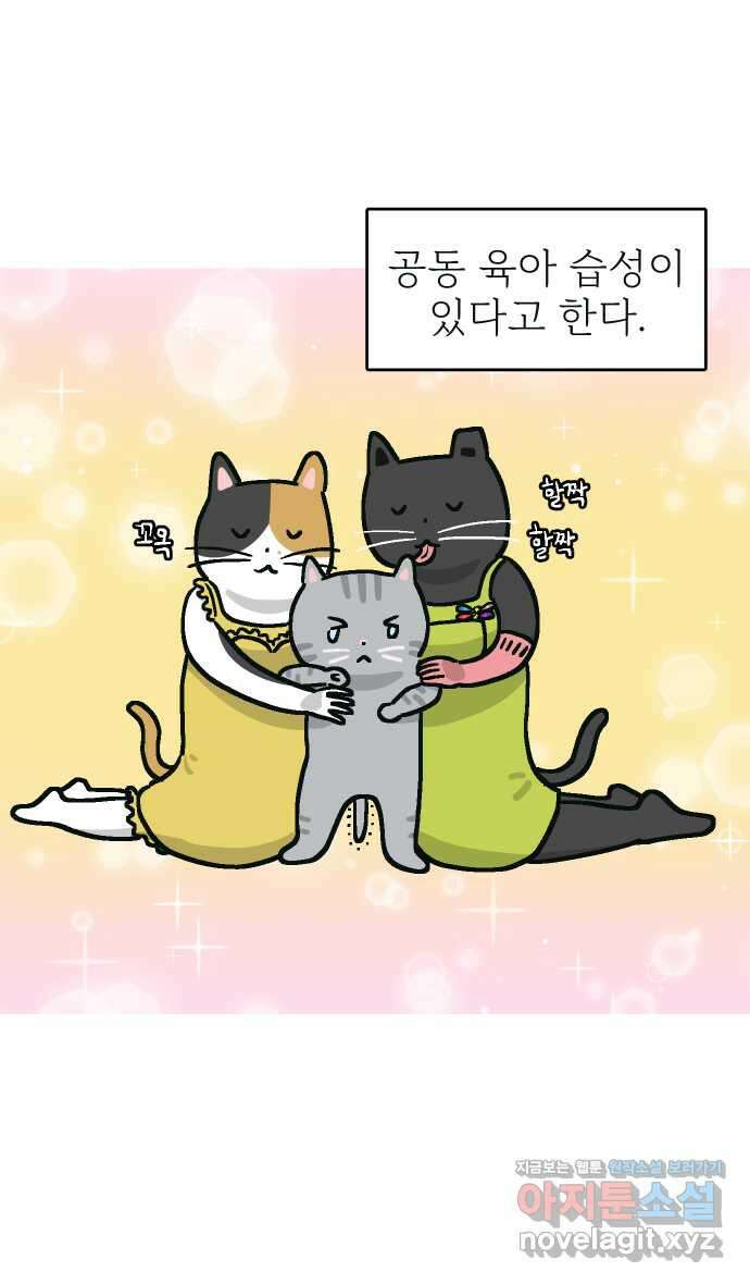 애옹식당 55화 웰컴 베이비(1) 15