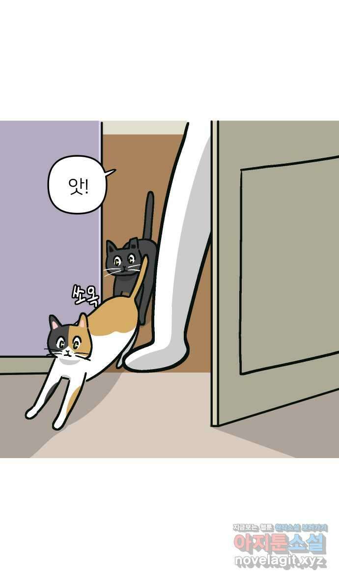 애옹식당 55화 웰컴 베이비(1) 39