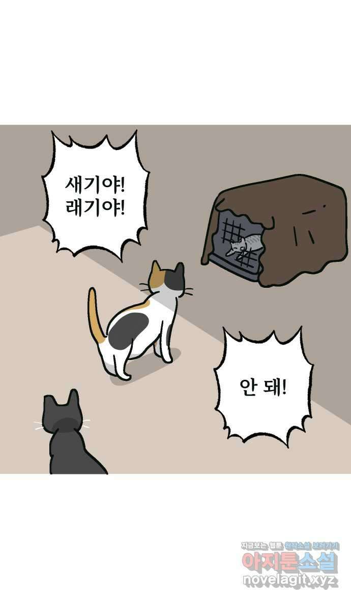 애옹식당 55화 웰컴 베이비(1) 40