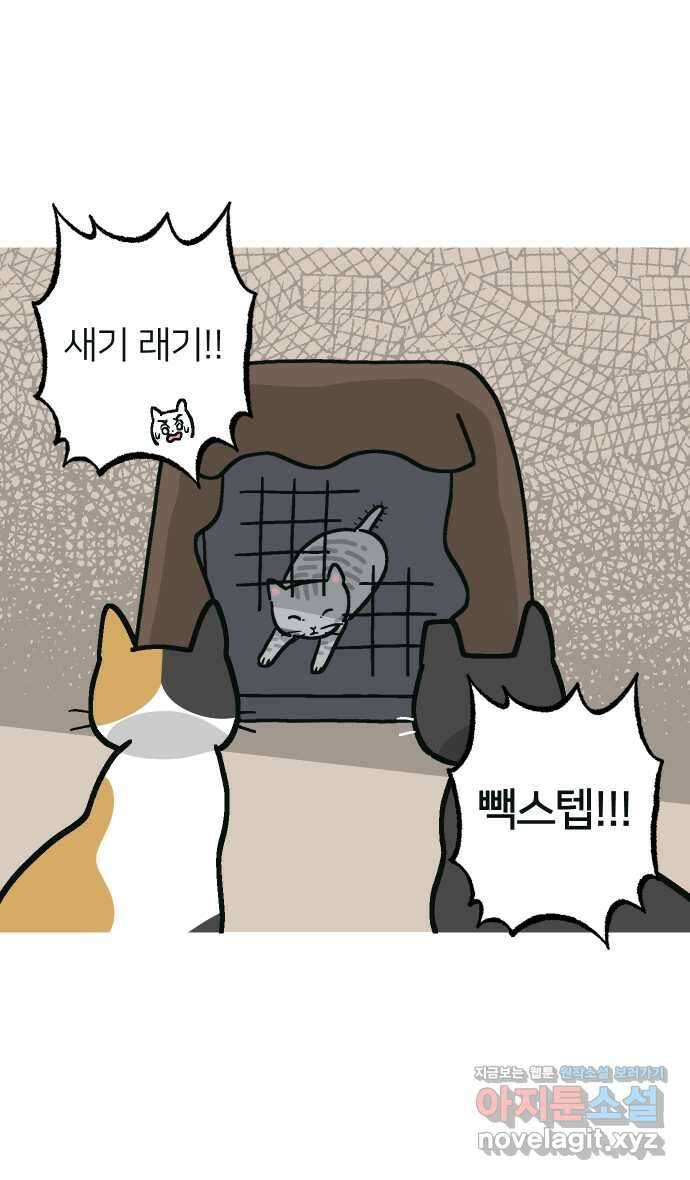 애옹식당 55화 웰컴 베이비(1) 42