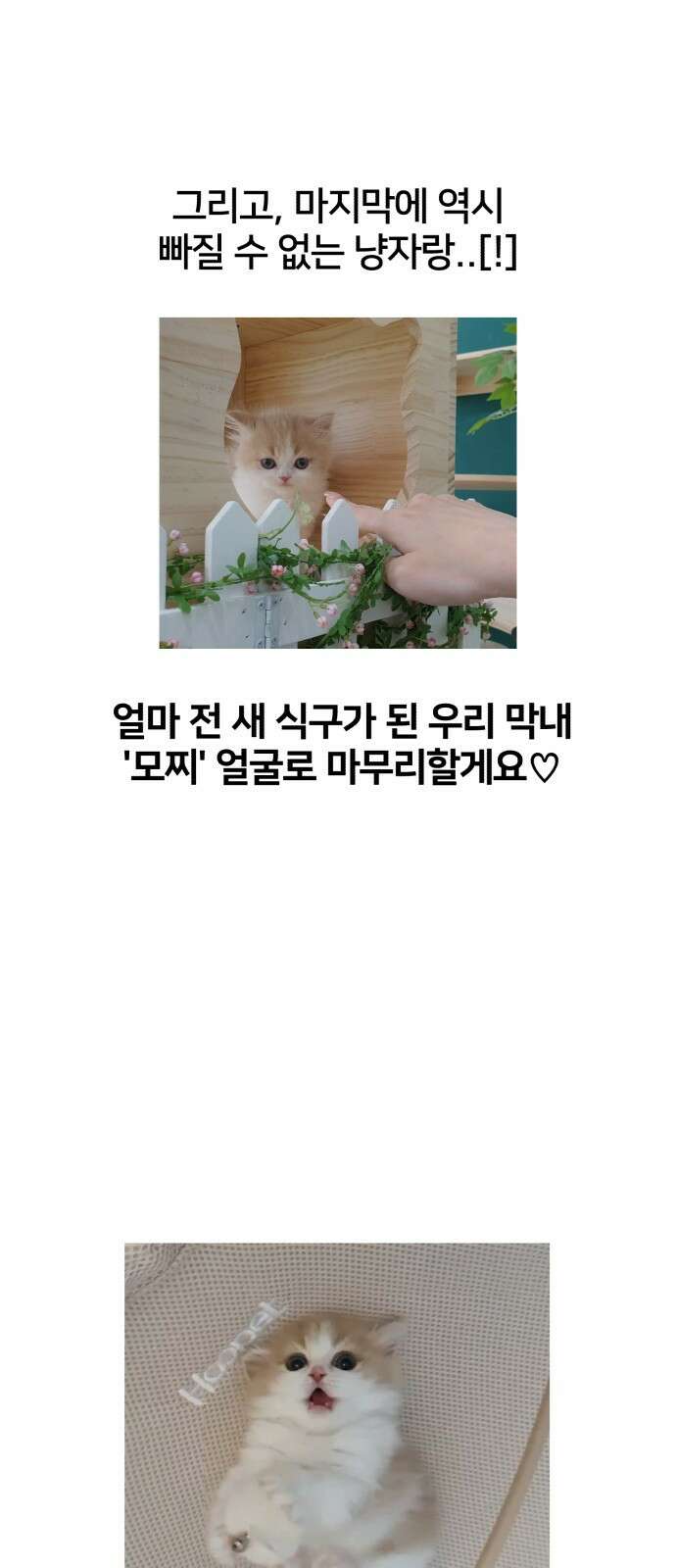 얼굴천재 후기 51