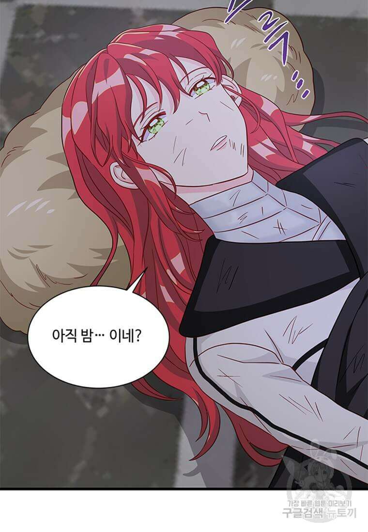 프리실라의 결혼 의뢰 130화(완결) 65