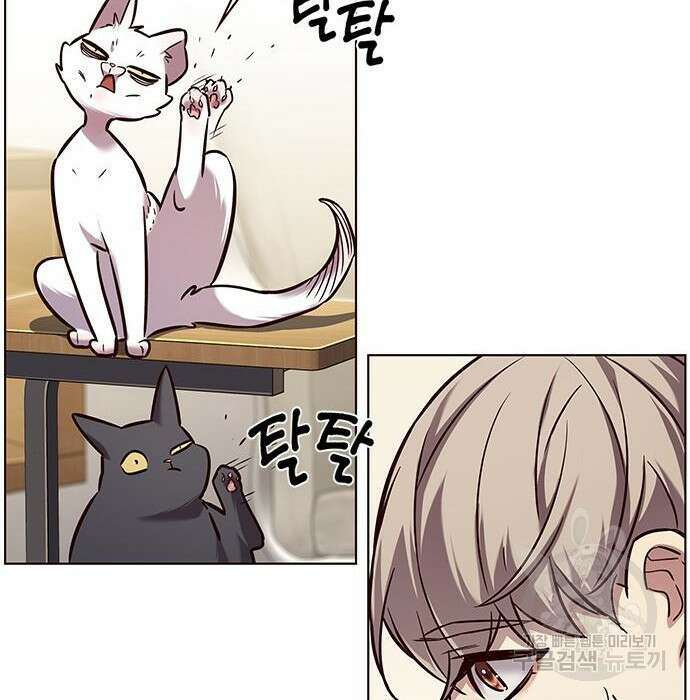 일렉시드 231화 11